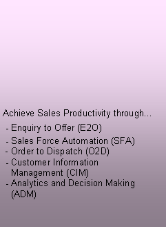 Text Box: Achieve Sales Productivity through... - Enquiry to Offer (E2O) - Sales Force Automation (SFA) - Order to Dispatch (O2D) - Customer Information    Management (CIM) - Analytics and Decision Making    (ADM)